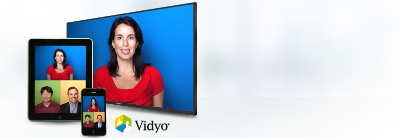Vidyobanner2