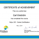 Vidyo 103 Certifiering klar